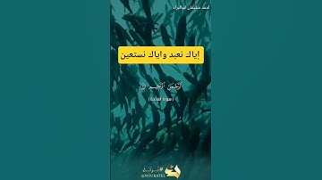إياك نعبد وإياك نستعين #احمد_سليمان_ابوالبراء #اكسبلور #تلاوة #راحة_نفسية #لايك #حالات_واتس