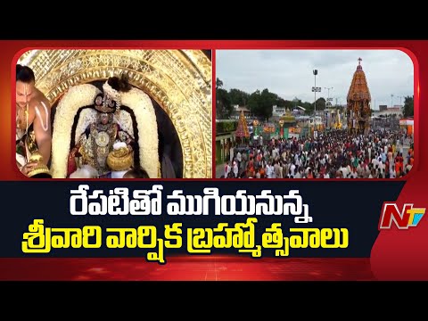 TTD Tirumala Brahmotsavam: 8వ రోజు రథోత్సవం పై శ్రీవారు | తిరుమలకు చేరుకుంటున్న లక్షలాది భక్తులు - NTVTELUGU