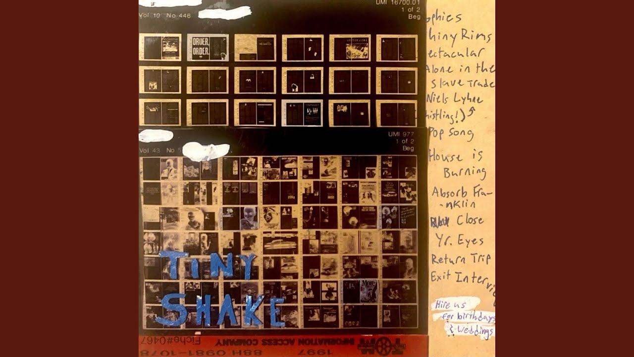 Alone in the Slave Trade