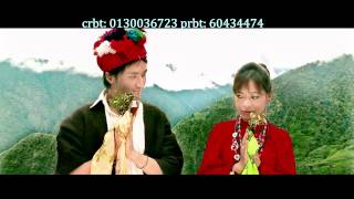 New Nepali Mhendomaya Song By Roshan Fyuba Tamang