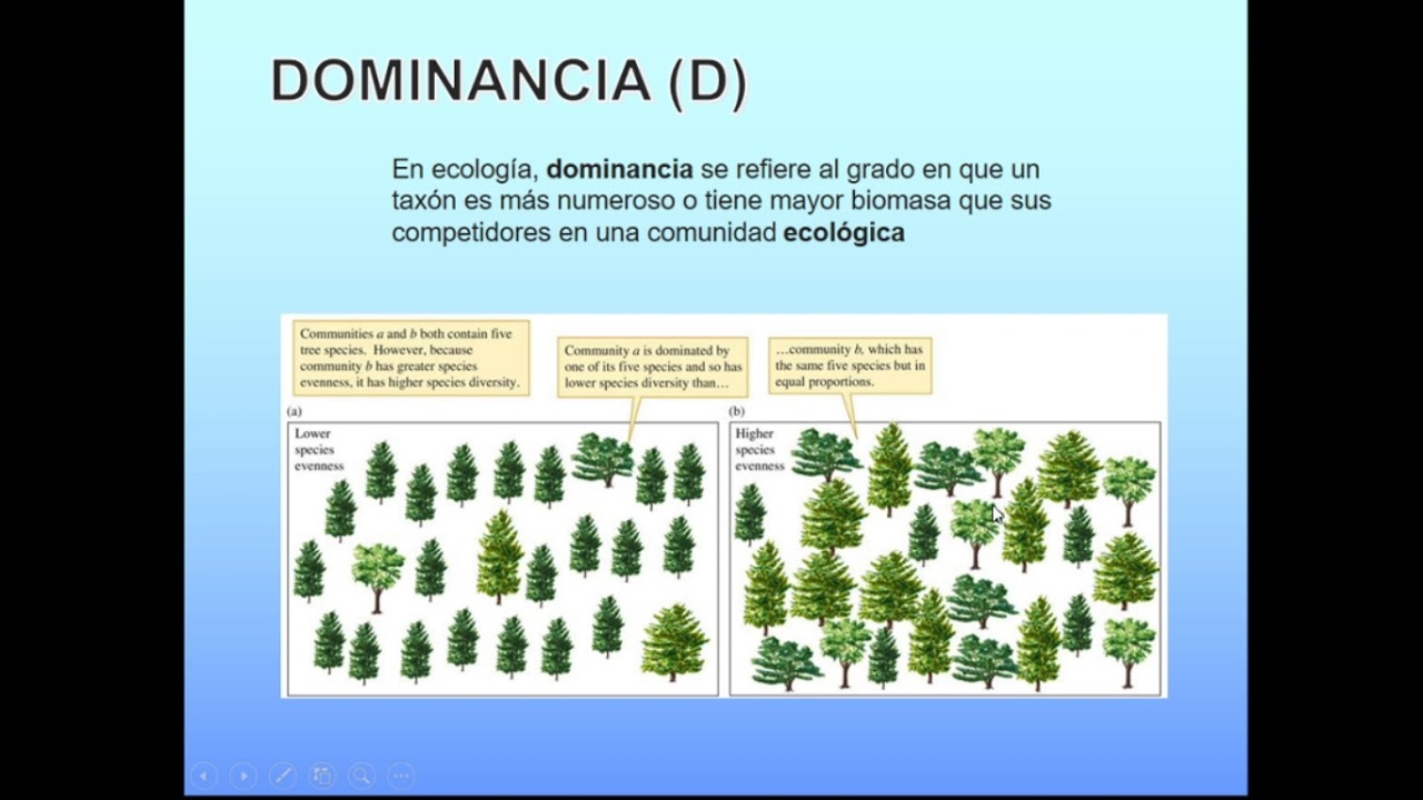 Indices de Biodiversidad Ecológica YouTube Indices de Biodiversidad Ecológica YouTube