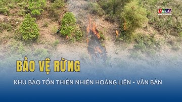 Phòng, chống cháy rừng ở Khu Bảo tồn thiên nhiên Hoàng Liên - Văn Bàn | THLC