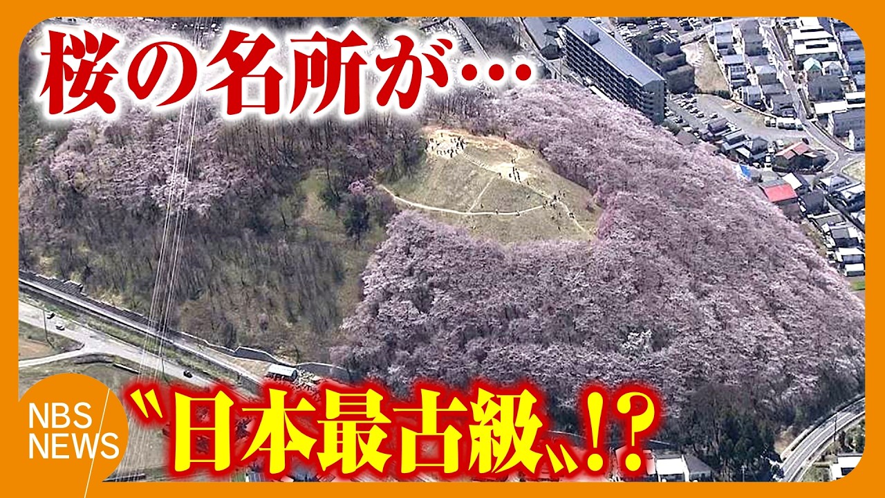連年余り - 于培山 Could this be one of Japan's oldest burial mounds? Re-examination