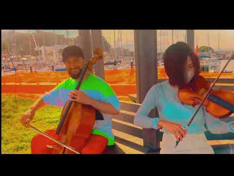 Gentle Leaf Guitar Cello