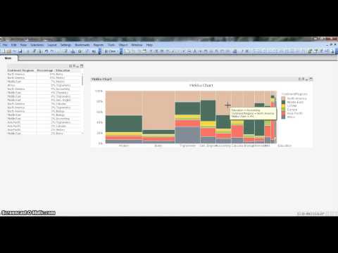 QlikView Tutorial | QlikView Charts | QlikView Mekko Chart