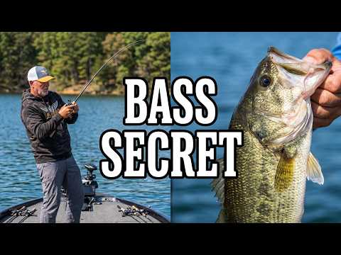 Pro Tip: Why Every Bass Angler Needs a Technique-Specific Rod