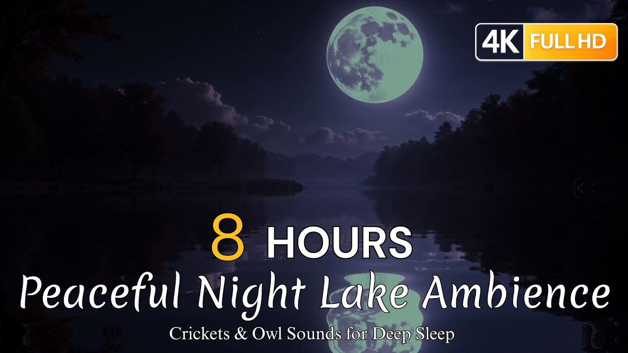 Peaceful Night Lake Ambience 🌙 Crickets & Owl Sounds for Deep Sleep | 8 Hours Nature Sounds