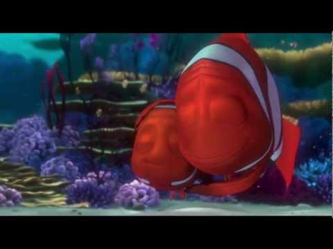 Anything Like Nemo
