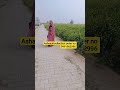 म्हारी ढाणी में 💯#song #haryanvi #trending #motivation #viralvideo #ashasuitcollection