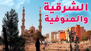 (الشرقية والمنوفية ) مصر | بيسوهات