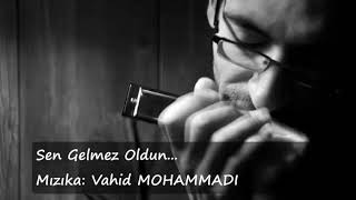 Sen Gelmez Oldun / Mızıka - Vahid MOHAMMADI Resimi