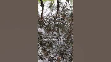 آية الكرسي (من أذكار الصباح والمساء)