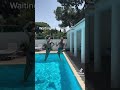 Pool challenge - new TikTok 2023