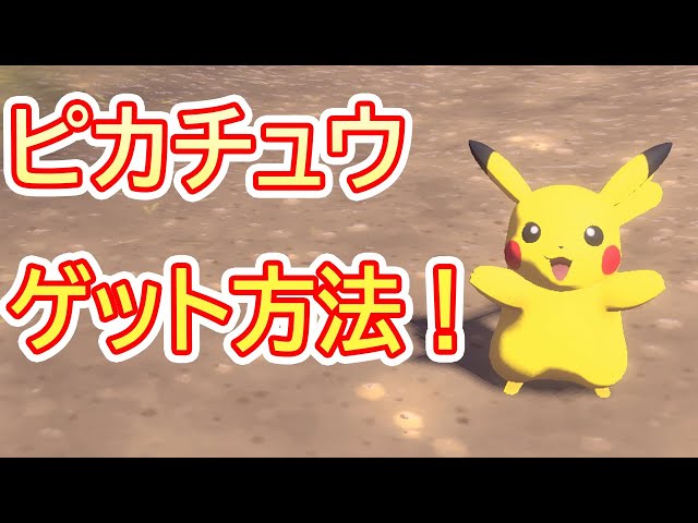 レアポケモン『ピカチュウ』入手方法・入手場所【ポケモンアルセウス