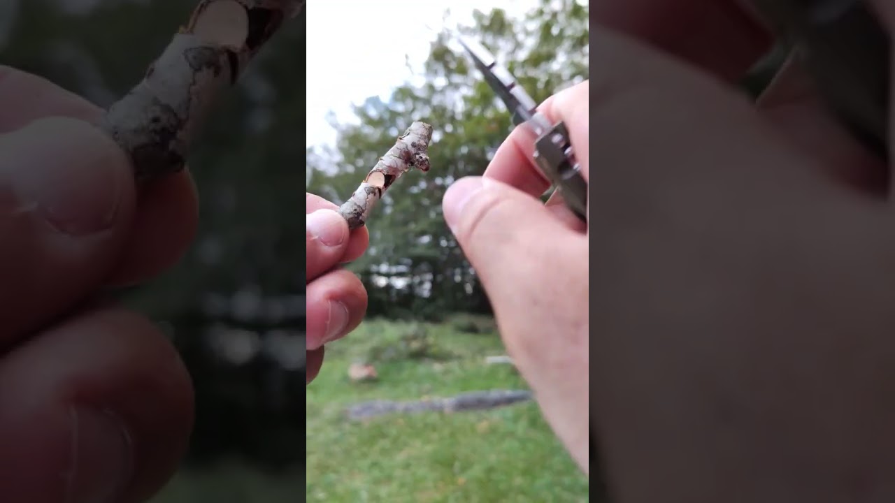 Coldsteel Mini Tuff Lite - dry wood cutting test