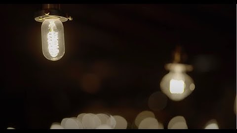 Pandas & People - Bad Honey (Official Music Video)