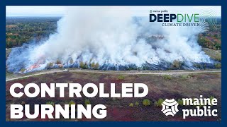Fighting fire with fire: Prescribed burns in Maine | Climate Driven