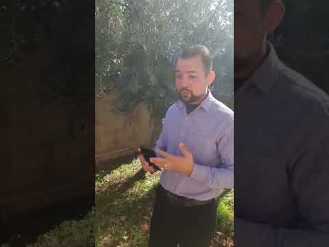 تواصل واتساب 0096170318227 Chorts السعودية الامارات المغرب لبناني