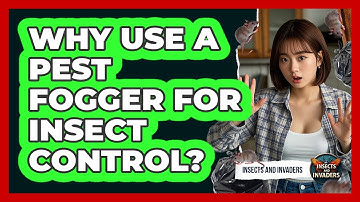 Why Use A Pest Fogger For Insect Control? - Insects and Invaders