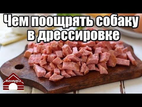 194. КАКОЕ ЛАКОМСТВО ВЫБРАТЬ ДЛЯ ДРЕССИРОВКИ. КАК РАБОТАТЬ С ЛАКОМСТВОМ