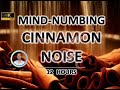 Mind Numbing Cinnamon Noise 12 Hours BLACK SCREEN Study Sleep Tinnitus Relief And Focus Mind Numbing Cinnamon Noise 12 Hours BLACK SCREEN Study Sleep Tinnitus Relief And Focus