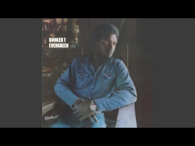 Evergreen (Instrumental) - YouTube