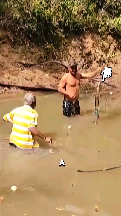 Man Put on sleep mode by an electric Eel. 😁😳