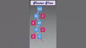 Factor Tree of 160 #publicmaths  #maths  #factortree