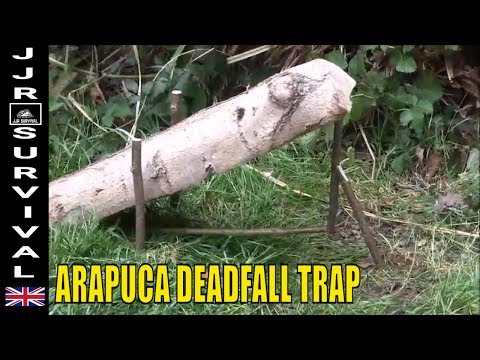 Arapuca Deadfall Trap