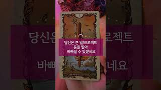 연애운 타로 #shorts #연애운 #타로사주 #커플타로#속마음#연애흐름
