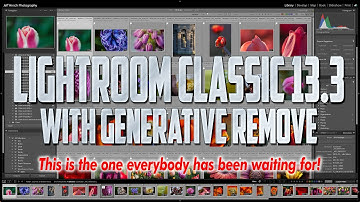 Lightroom Classic 13.3 with Generative Remove - All Your Questions Answered!