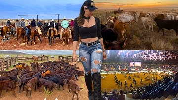 Uncovering the SECRETS of Singleton Ranches, the LARGEST Horse and Cattle Farm in the US