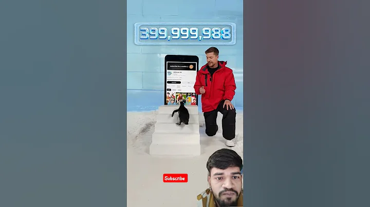 Can I Teach a Penguin To Subscribe? #shorts #youtubeshorts @MrBeast #beast #reaction