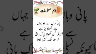 Sunehri batain|Sachi Batain|Khobsurat Batian|Aham Malomat|Golden Words|Zahid Sabir Voice screenshot 4