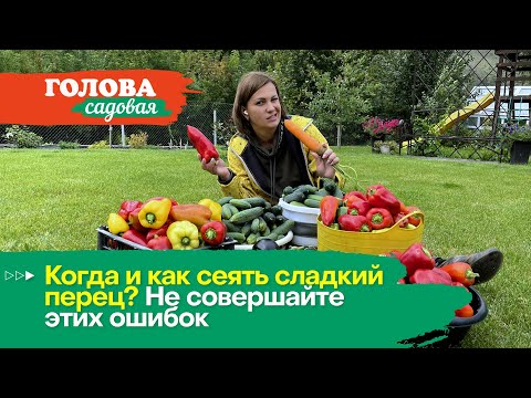 Голова садовая - Когда и как сеять сладкий перец? Не совершайте этих ошибок