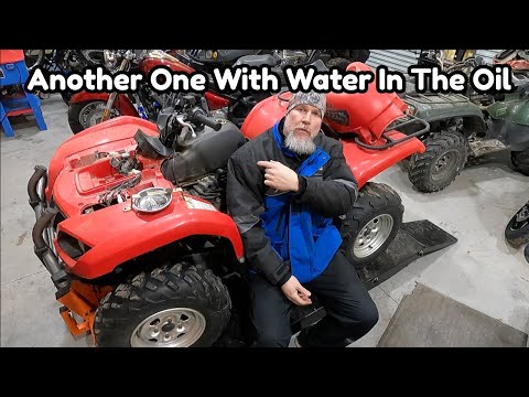 Yamaha Grizzly 660 Sat For Years Because My Customer Thought He Had A Blown Head Gasket.