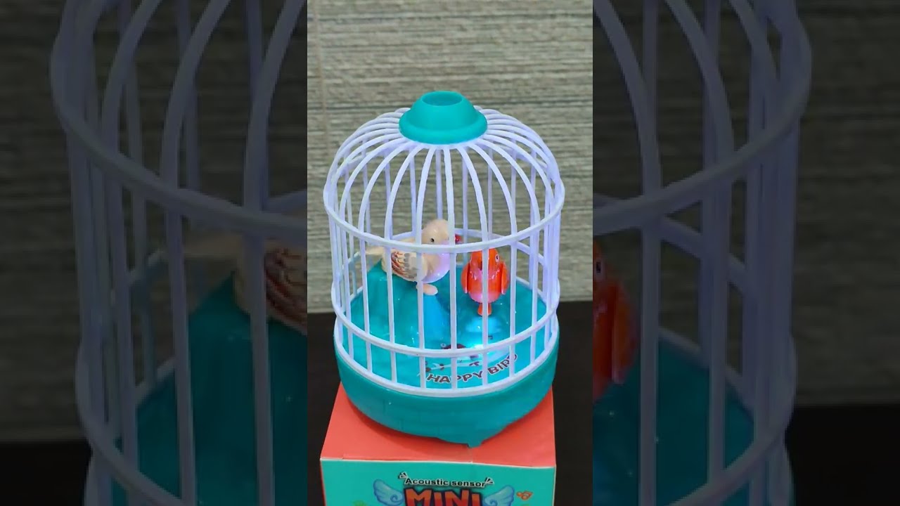 Beautiful Mini Bird Cage Toy | 
