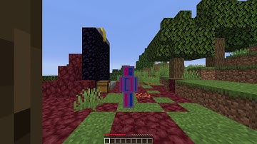 [FWR] Enter Nether 1.16 Speedrun in 5.967 seconds