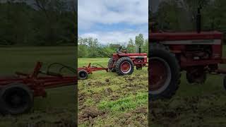 International 826 Pulling a 7 Shank International 50 Chisel Plow #farmallfanatic #farming #shorts