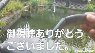 DAIWAのモアザンレイジー投げて見ました。