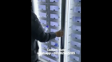Egg locker ready to ship, vending machine factory dailly