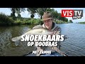 VIS TV Vlog #34 - Snoekbaars uit de boot met Tamme