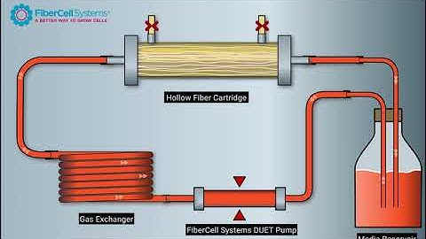 Hollow Fiber Bioreactor for Cell Culture by FiberCell Systems
