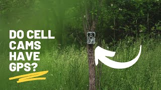 cellular trail camera with gps