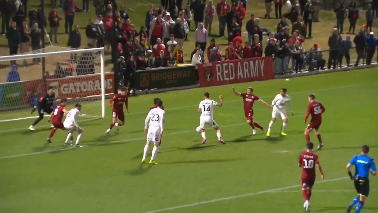 MILANOVIC BURIES THE BALL IN THE NET!! 