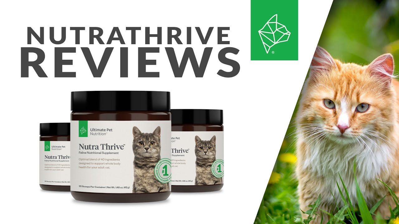 ultimate pet nutrition nutra thrive for cats