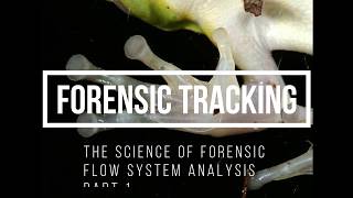 FORENSIC TRACKING AND FLOW ANALYSIS Part 1
