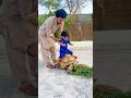Chachu Na Tortoise Par Bitha Diya #shorts #ytshorts #viral #trending #viralshorts #pets #cute