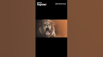 Rano Rana ni rite status Devayat khavad