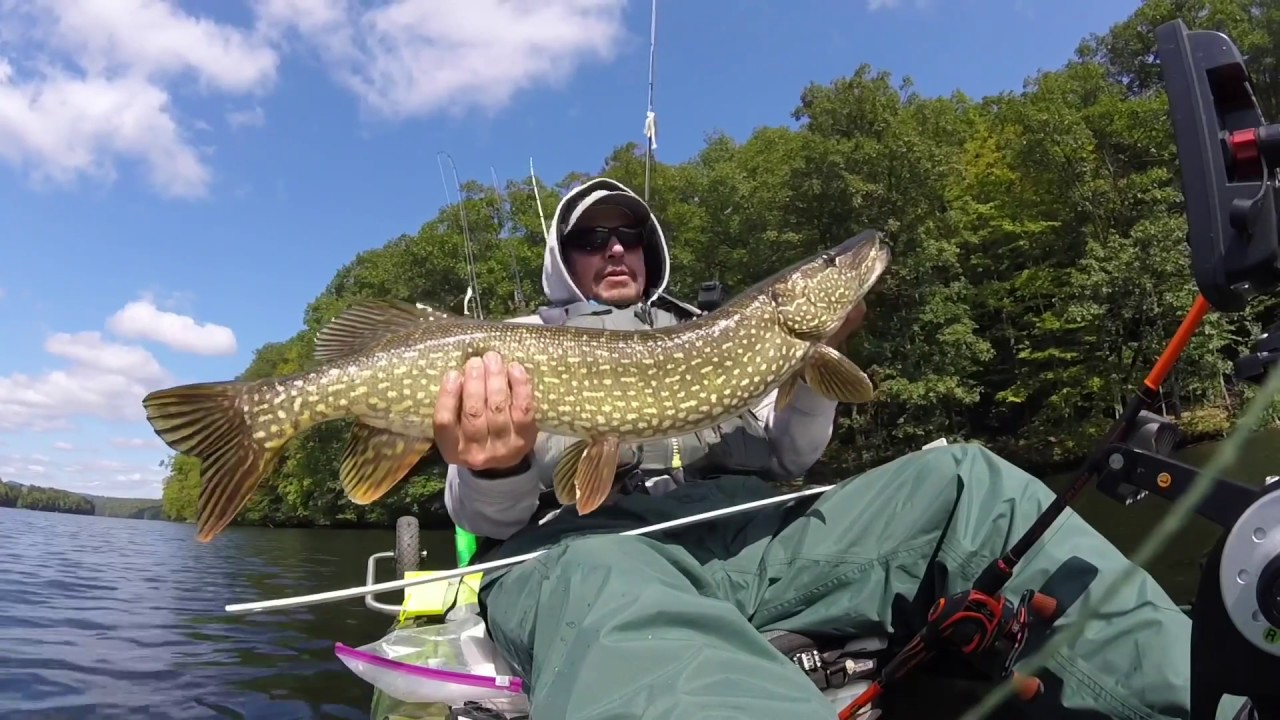 Fall River Northern Pike Fishing YouTube